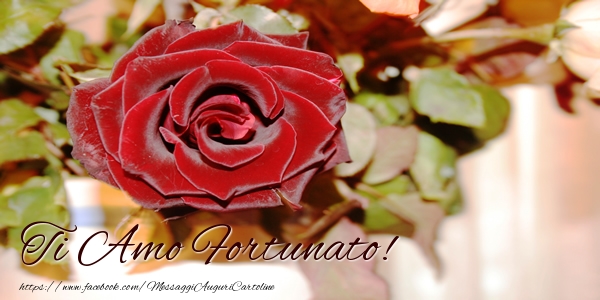 Cartoline d'amore - Rose | Ti amo Fortunato!