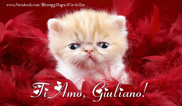 Cartoline d'amore - Ti amo, Giuliano!