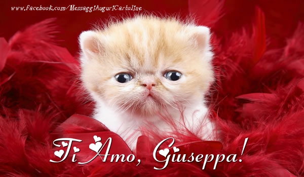 Cartoline d'amore - Animali | Ti amo, Giuseppa!