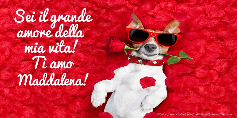 Cartoline d'amore - Animali & Rose | Sei il grande amore della mia vita! Ti amo Maddalena!
