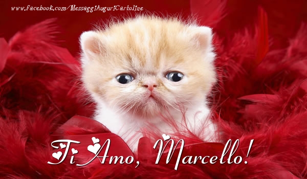Cartoline d'amore - Animali | Ti amo, Marcello!