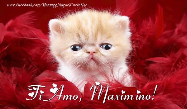 Cartoline d'amore - Ti amo, Maximino!