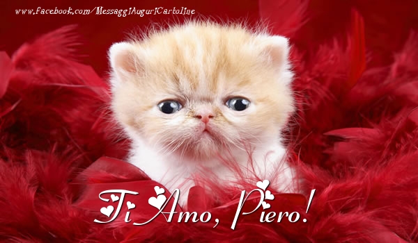 Cartoline d'amore - Ti amo, Piero!