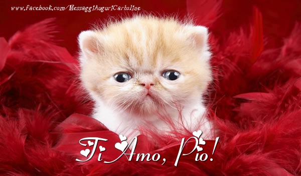 Cartoline d'amore - Ti amo, Pio!