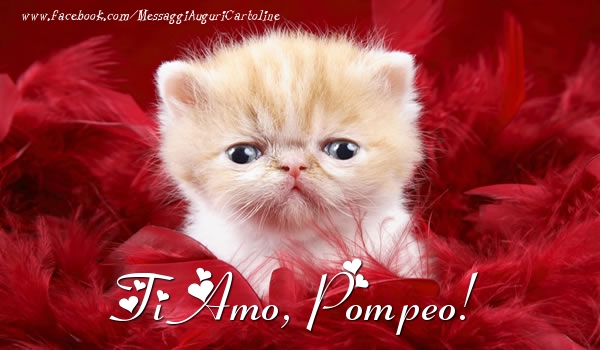  Cartoline d'amore - Animali | Ti amo, Pompeo!