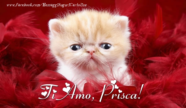Cartoline d'amore - Ti amo, Prisca!