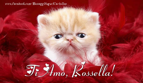 Cartoline d'amore - Animali | Ti amo, Rossella!