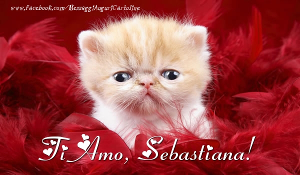 Cartoline d'amore - Ti amo, Sebastiana!
