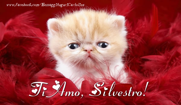  Cartoline d'amore - Animali | Ti amo, Silvestro!