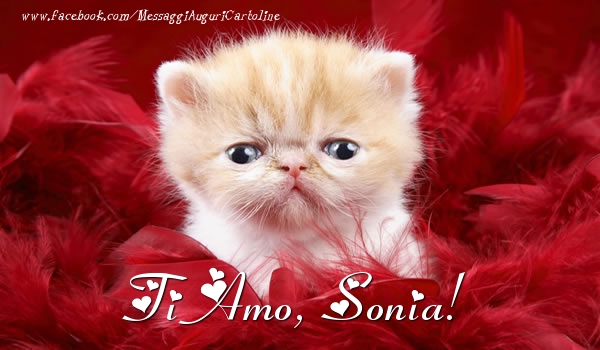 Cartoline d'amore - Ti amo, Sonia!