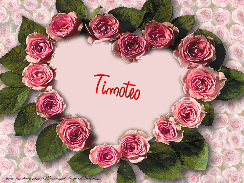 Cartoline d'amore - Timoteo