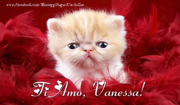 Cartoline d'amore - Ti amo, Vanessa!