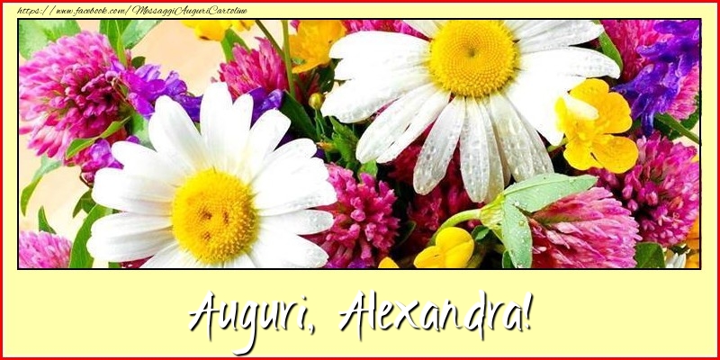 Cartoline di auguri - Fiori | Auguri, Alexandra!