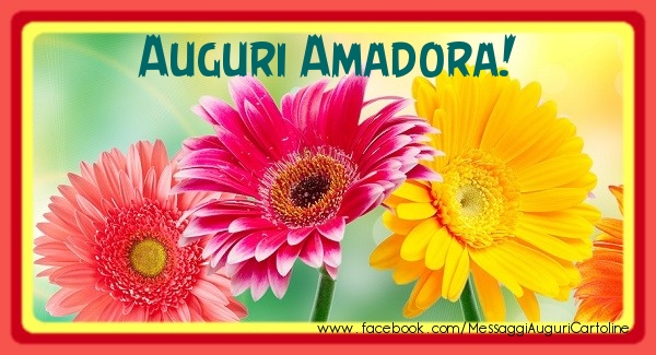 Cartoline di auguri - Auguri Amadora!