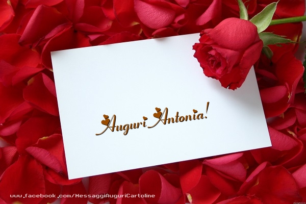 Cartoline di auguri - Rose | Auguri Antonia!