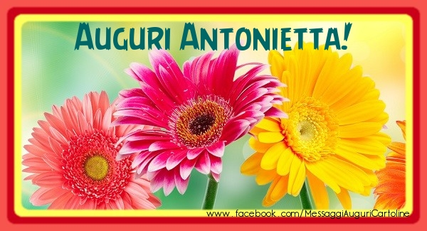 Cartoline di auguri - Fiori | Auguri Antonietta!