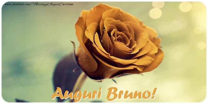 Cartoline di auguri - Auguri Bruno
