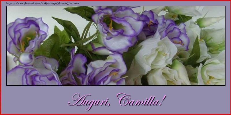 Cartoline di auguri - Auguri, Camilla!