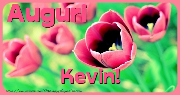 Cartoline di auguri - Auguri Kevin
