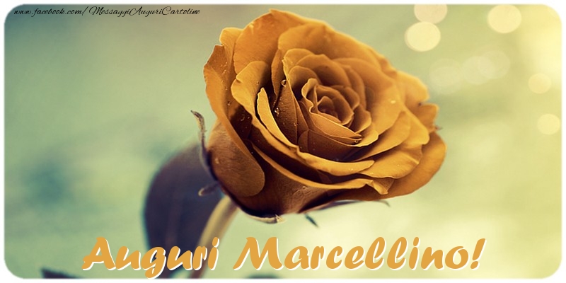 Cartoline di auguri - Auguri Marcellino