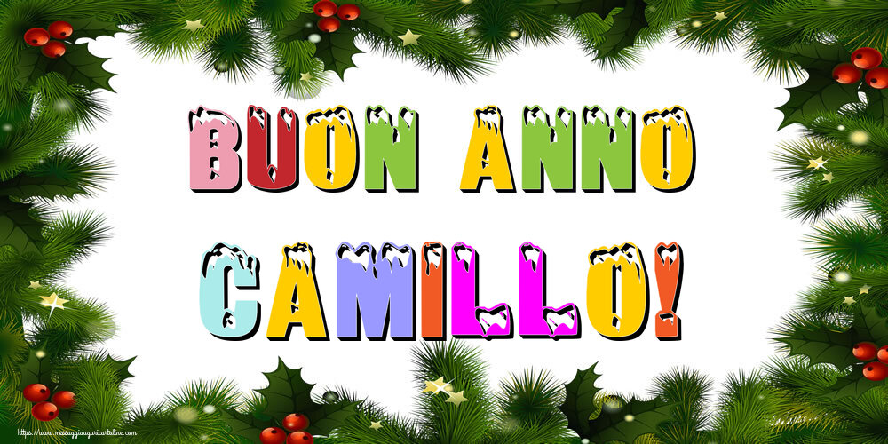 Cartoline di Buon Anno - Buon Anno Camillo!