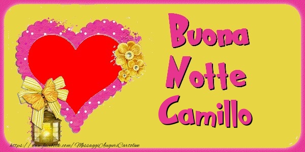 Cartoline di buonanotte - Cuore & Fiori & 1 Foto & Cornice Foto | Buona Notte Camillo