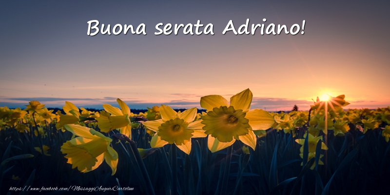 Cartoline di buonasera -  Fiori: Buona serata Adriano!