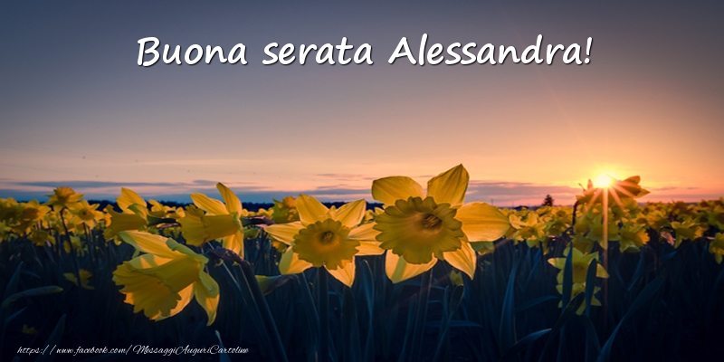 Cartoline di buonasera -  Fiori: Buona serata Alessandra!