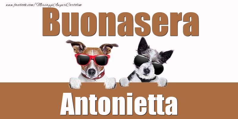 Cartoline di buonasera - Buonasera Antonietta