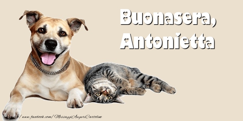 Cartoline di buonasera - Animali | Buonasera, Antonietta