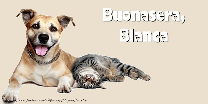 Cartoline di buonasera - Buonasera, Blanca