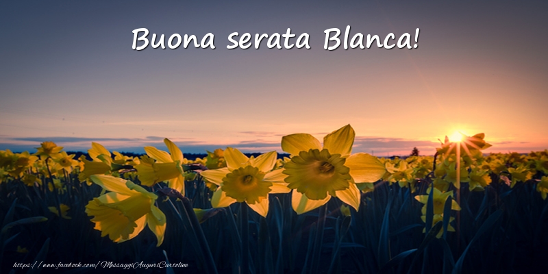 Cartoline di buonasera -  Fiori: Buona serata Blanca!
