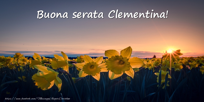 Cartoline di buonasera -  Fiori: Buona serata Clementina!