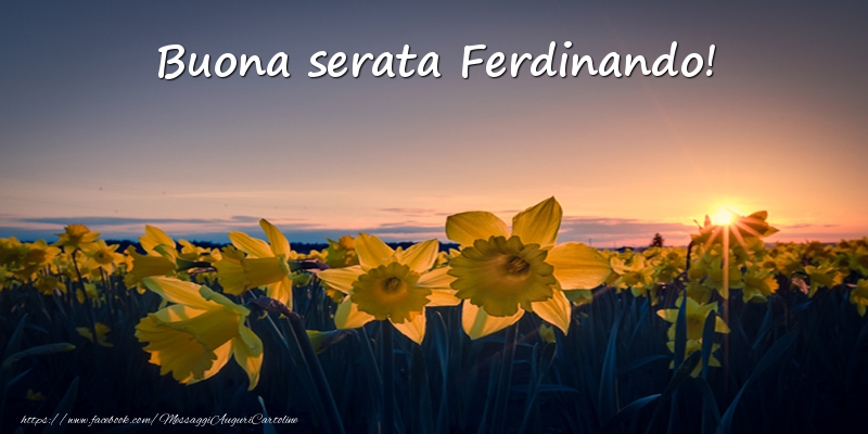 Cartoline di buonasera -  Fiori: Buona serata Ferdinando!