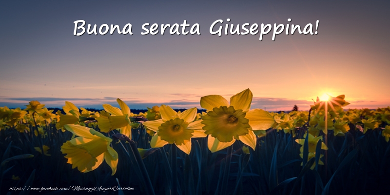Cartoline di buonasera -  Fiori: Buona serata Giuseppina!