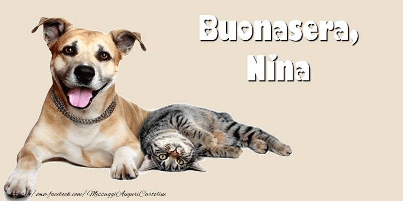 Cartoline di buonasera - Animali | Buonasera, Nina