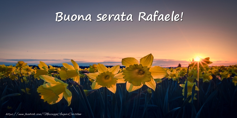 Cartoline di buonasera -  Fiori: Buona serata Rafaele!