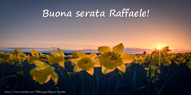 Cartoline di buonasera -  Fiori: Buona serata Raffaele!