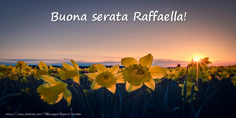 Cartoline di buonasera -  Fiori: Buona serata Raffaella!