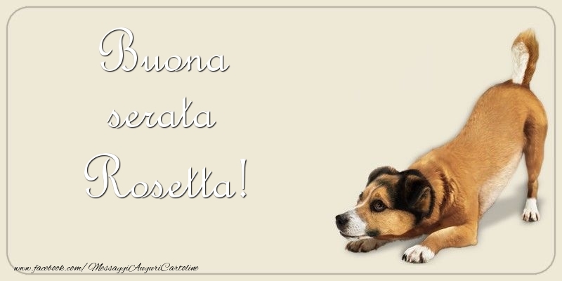 Cartoline di buonasera - Animali | Buona serata Rosetta
