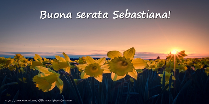 Cartoline di buonasera -  Fiori: Buona serata Sebastiana!