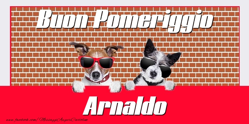  Cartoline di buon pomeriggio - Animali | Buon Pomeriggio Arnaldo