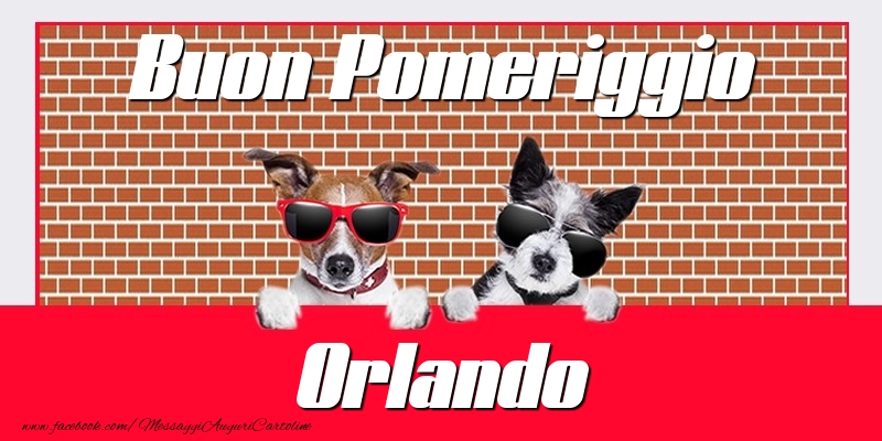 Cartoline di buon pomeriggio - Animali | Buon Pomeriggio Orlando
