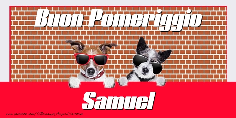  Cartoline di buon pomeriggio - Animali | Buon Pomeriggio Samuel