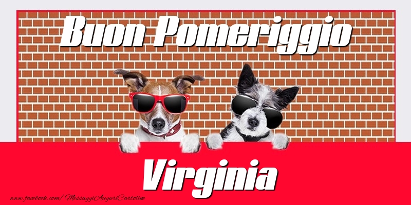  Cartoline di buon pomeriggio - Animali | Buon Pomeriggio Virginia