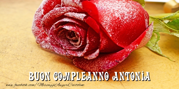 Cartoline di compleanno - Rose | Buon Compleanno Antonia!