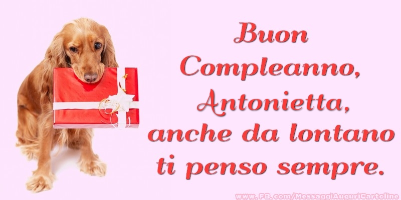 Cartoline di compleanno - Regalo | Buon Compleanno, Antonietta anche da lontano ti penso sempre.