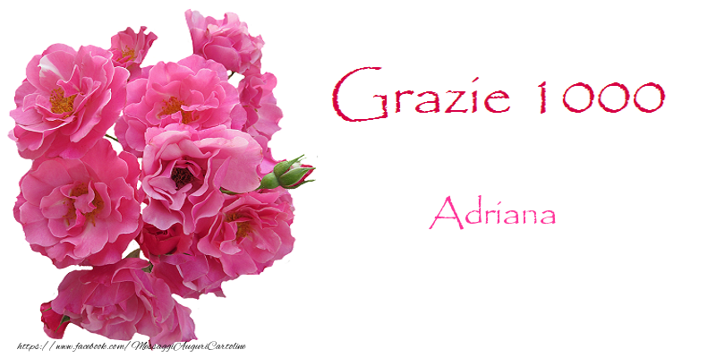 Cartoline di grazie - Fiori | GRAZIE 1000 Adriana