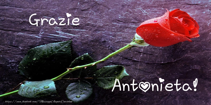 Cartoline di grazie - Rose | Grazie Antonieta!