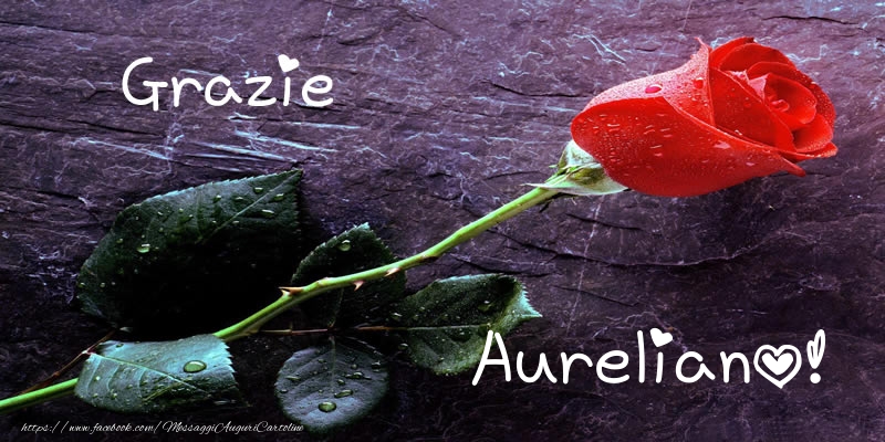 Cartoline di grazie - Rose | Grazie Aureliano!
